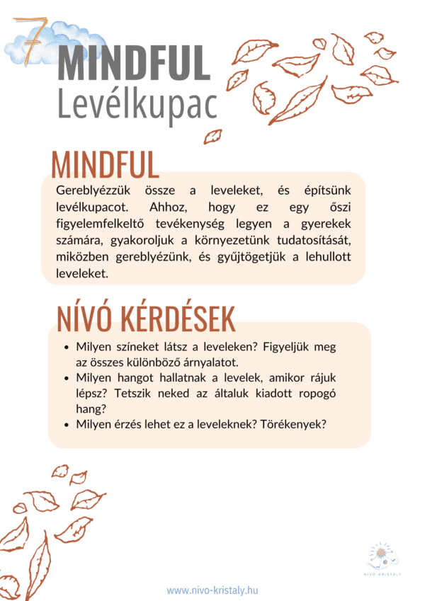 Szezonális Őszi Mindful Csomag - Image 6